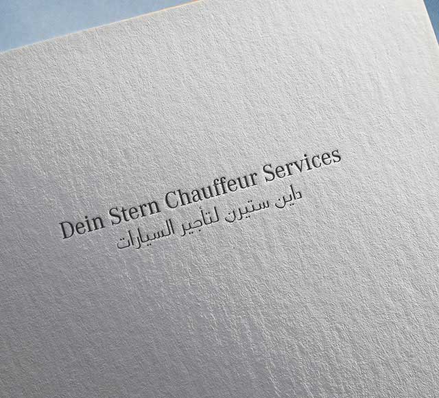 Dein Stern Chauffeur Services logo & brand identity
